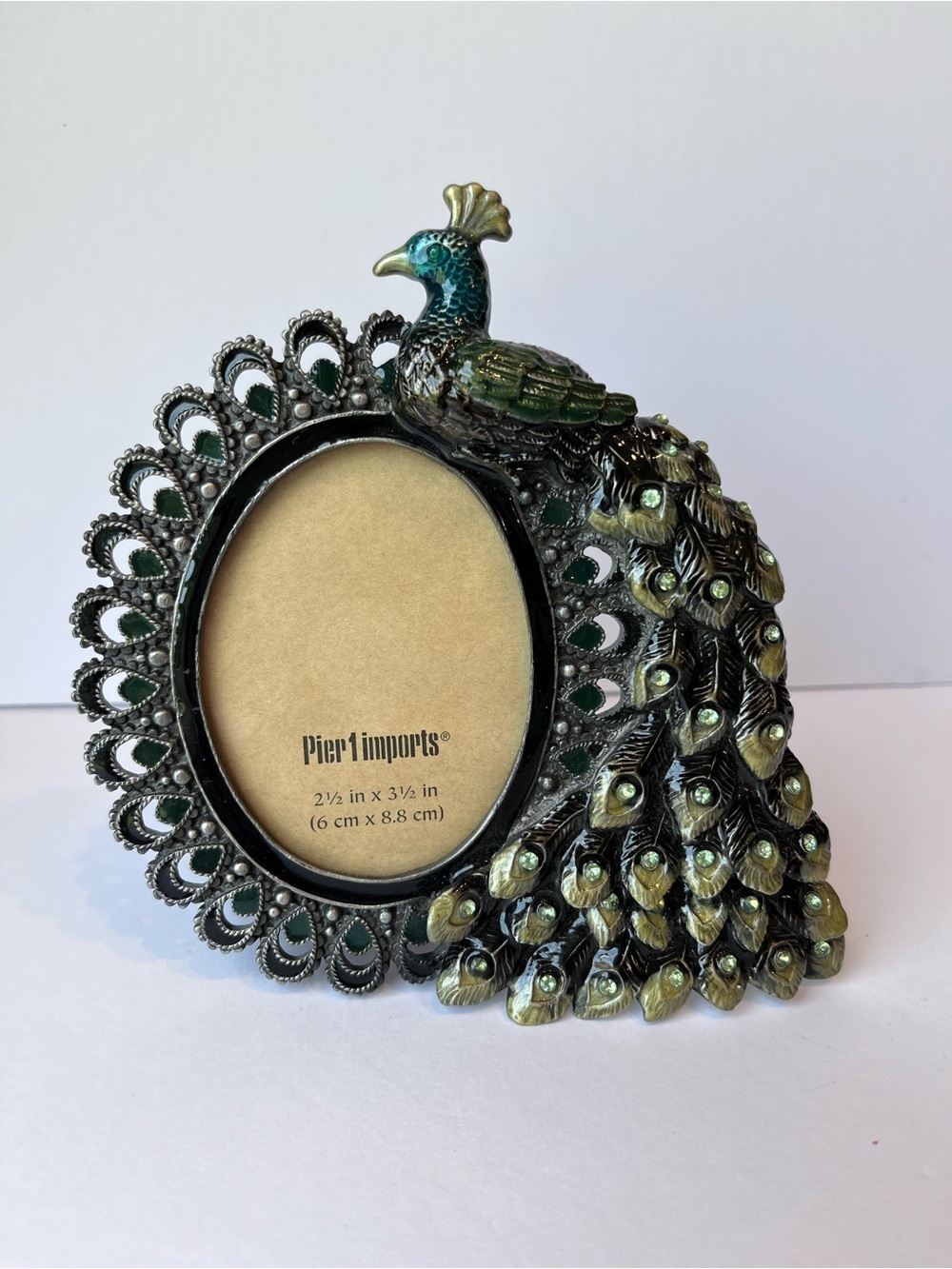 Pier 1 Imports Peacock Enameled Picture Frame
